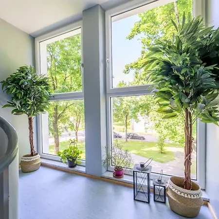 1og Mitte Schoene 2-zimmer City Naehe Salzburg *